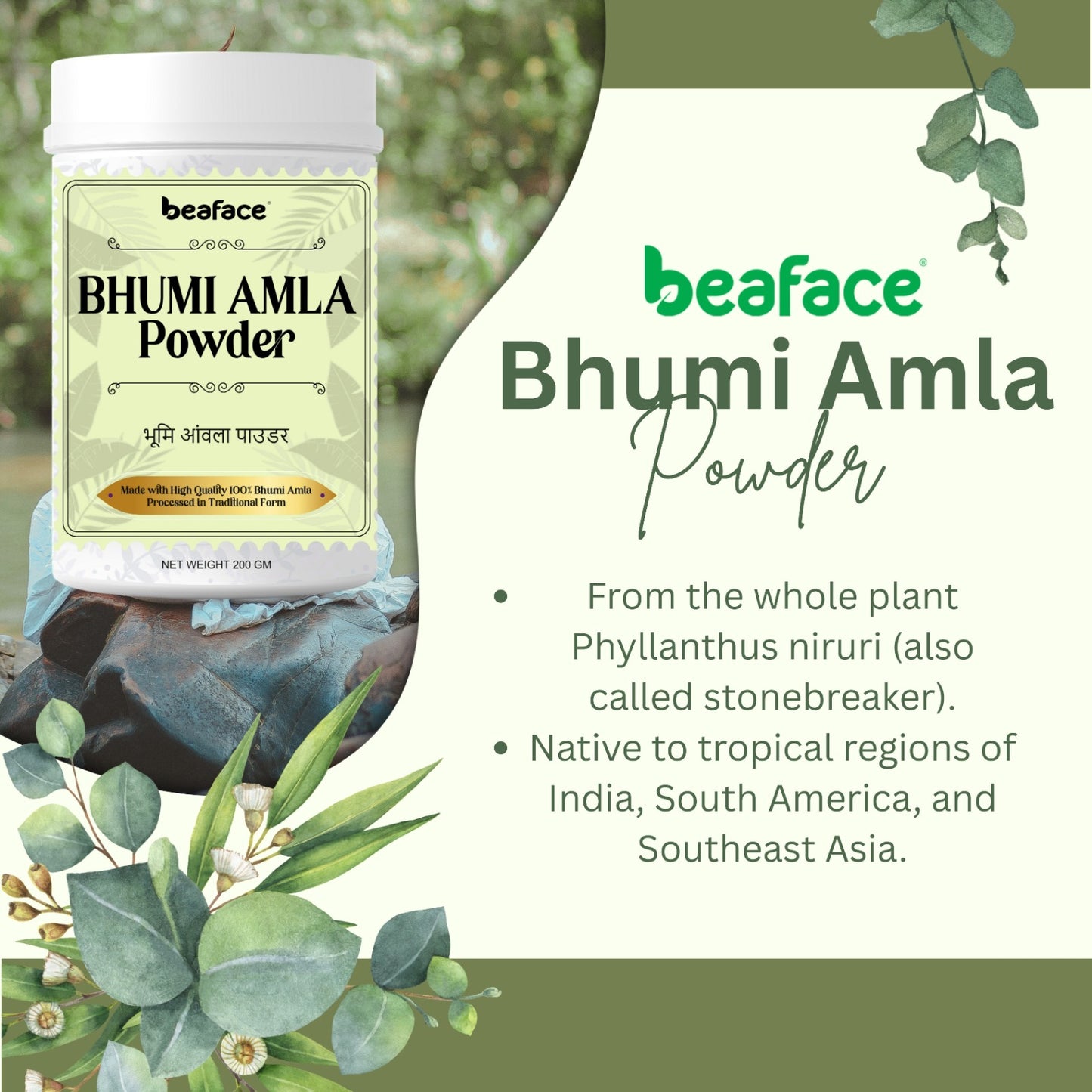 Bhumi-amla-reducing-gastric-acid-reduce-kidney-stone-good-indigestion-blood-purifier