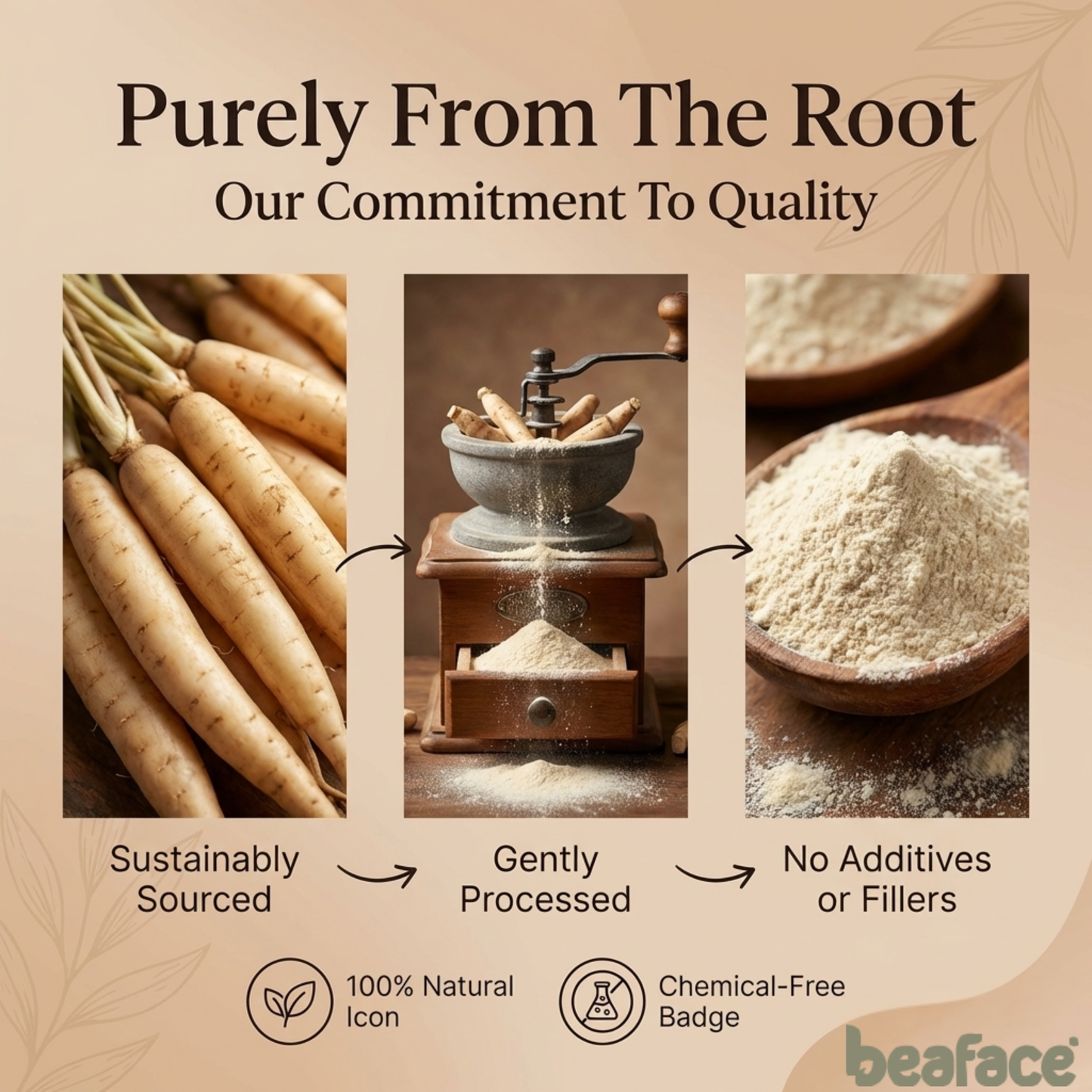 Shatavari-powder-gastric-ulcers-immune-system